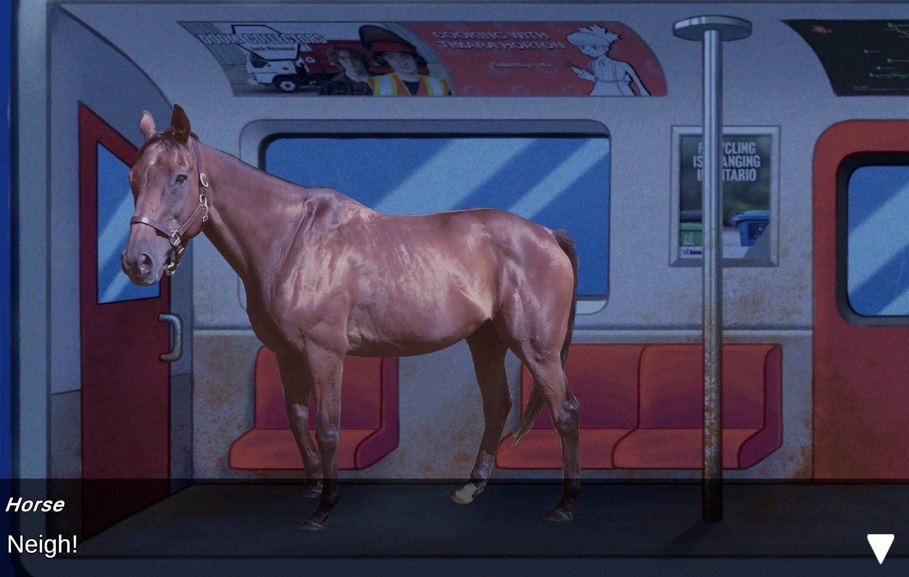 The horse NPC