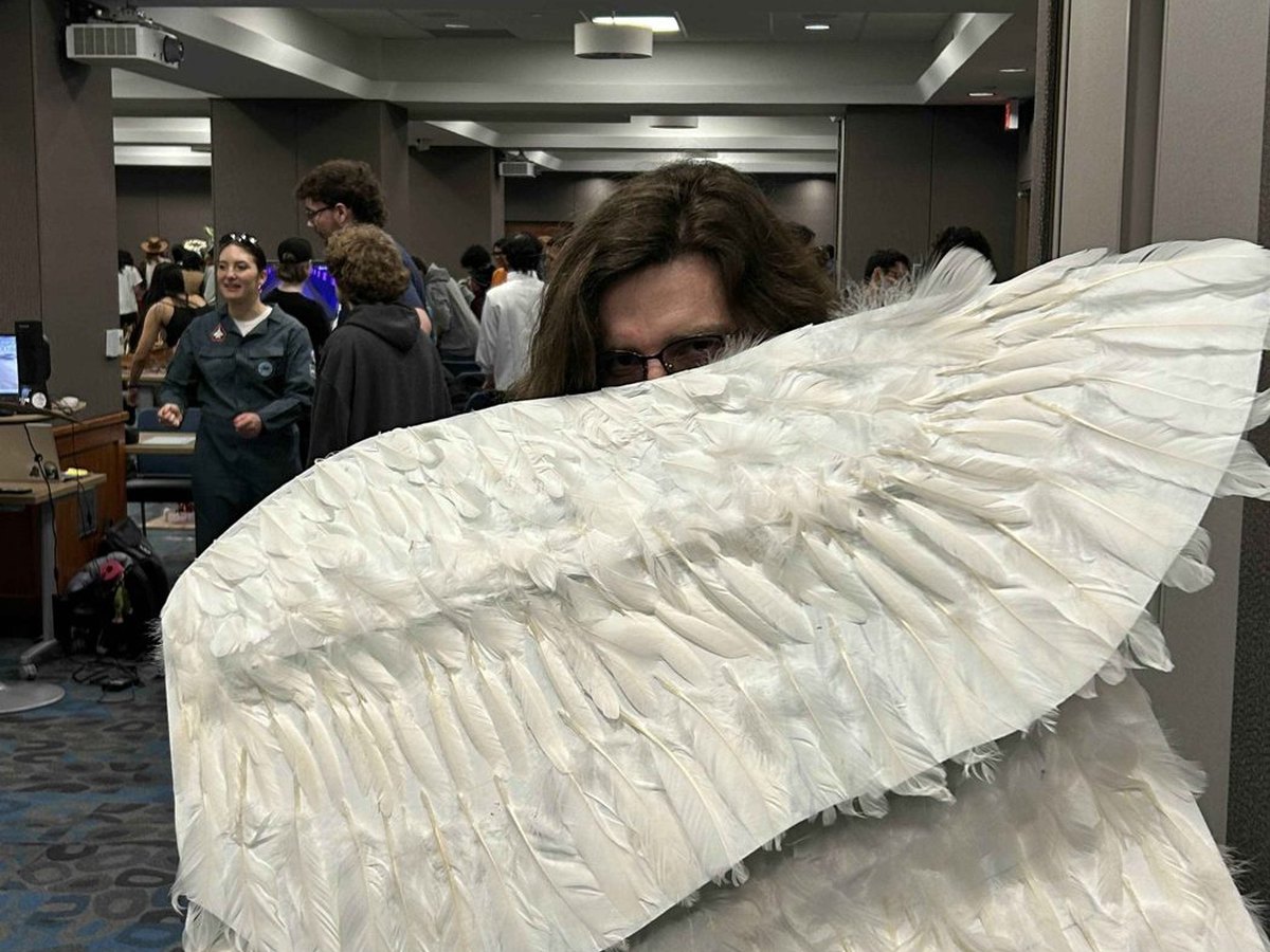 Final feathered wing