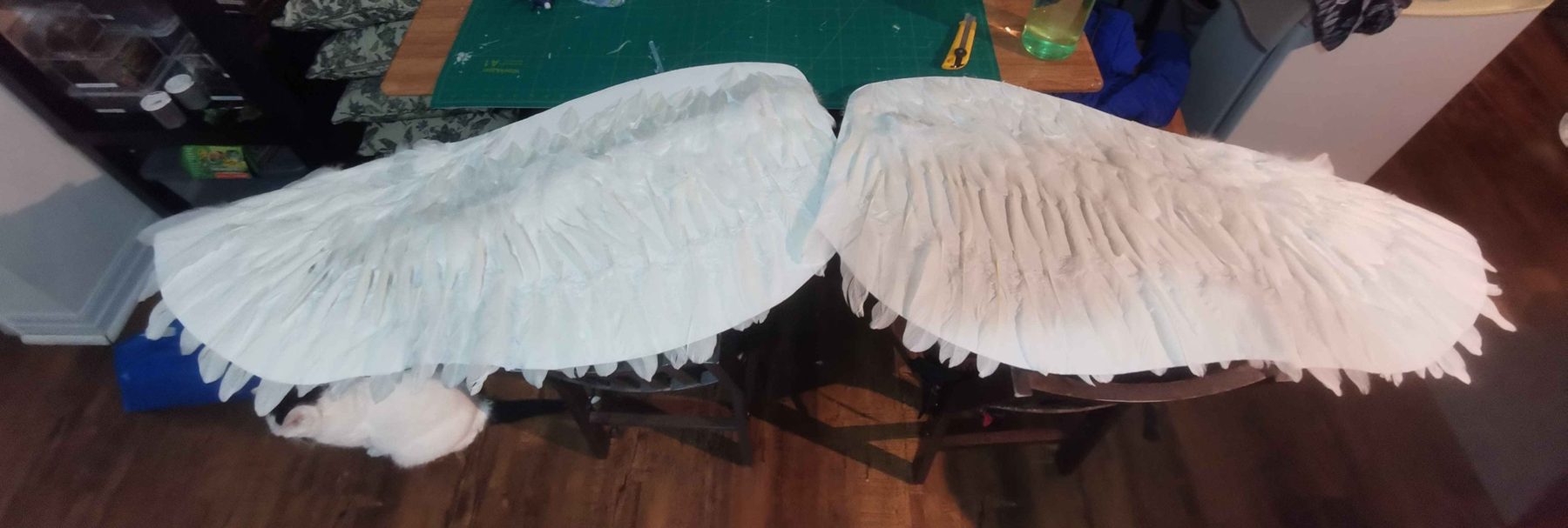 Final wings, side by side